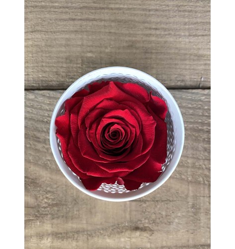 Eternal Roses Luxury Box